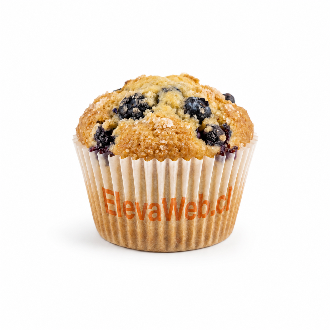 Muffin de Arándanos Silvestres